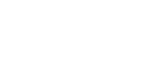 De Haagse Beveiliging
